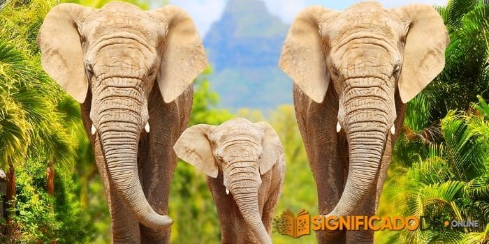 soñar con elefantes gigantes