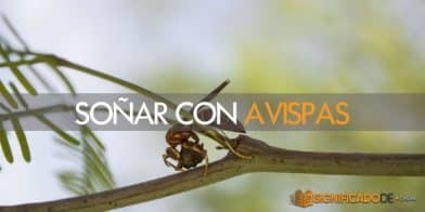 soñar con avispas