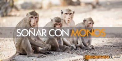 soñar con monos