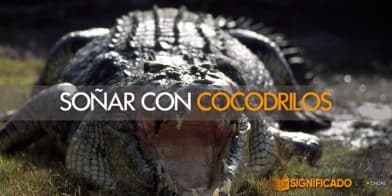 soñar con cocodrilos