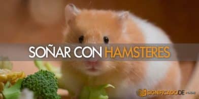 soñar con hamsteres