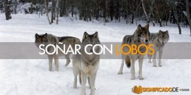 soñar con lobos