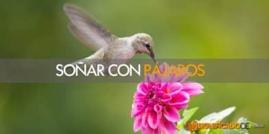 soñar con pájaros