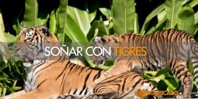 soñar con tigres