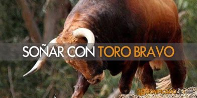 soñar con toro bravo