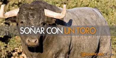 soñar con un toro