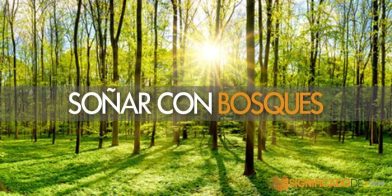 soñar con bosques