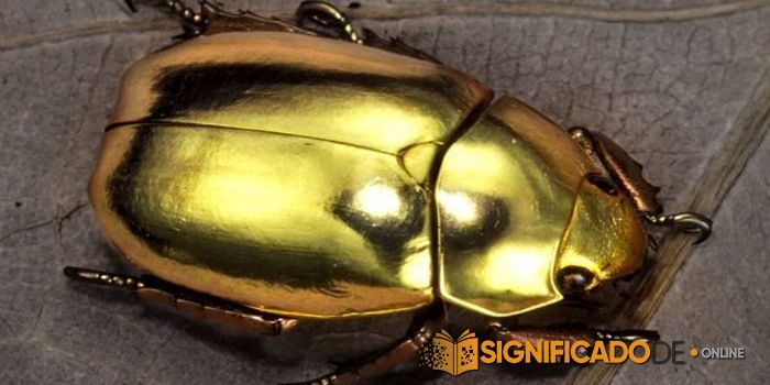 soñar con escarabajos dorados