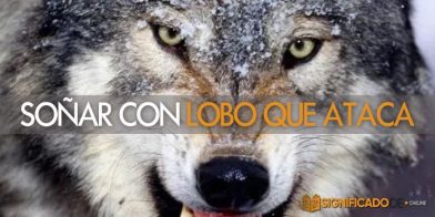 soñar con lobo que ataca