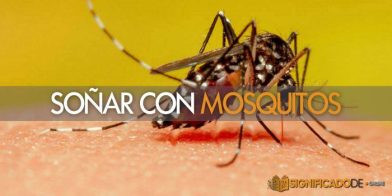 soñar con mosquitos