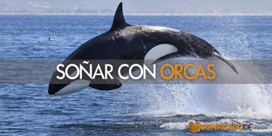 soñar con orcas