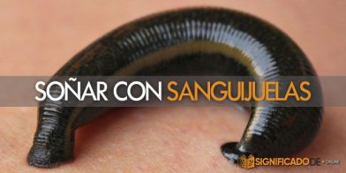 soñar con sanguijuelas