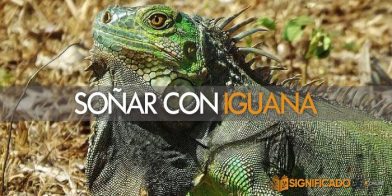 soñar con iguana